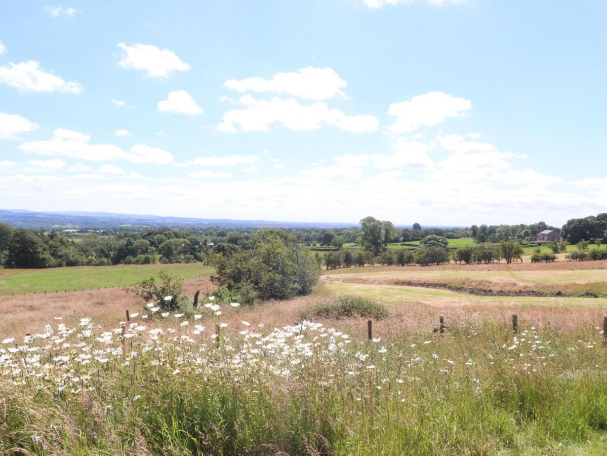 לונגרידג' Cottam Cottage Farm מראה חיצוני תמונה
